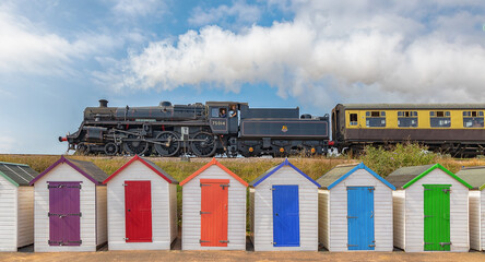Darmouth Steam Railway, Devon - obrazy, fototapety, plakaty