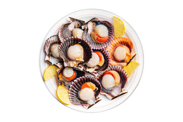 fresh scallop shell seafood meal snack on the table copy space food background rustic top view 