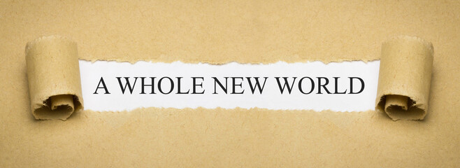 a whole new world