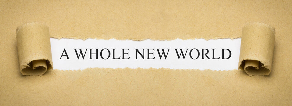 a new whole world