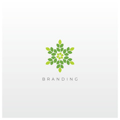 Natural Organic Leave Spa Green Vector Logo