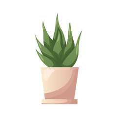Cactus succulent houseplant in pot. Indoor potted house plant in flowerpot. Home garden, greenhouse, florarium, gardening lover. Domestic store poster, banner, flyer, advertising, promo.Cartoon vector