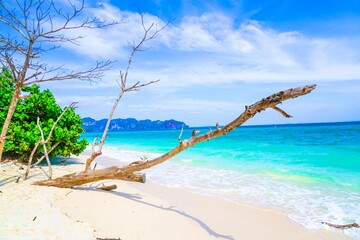 beach krabi thailand, poda island