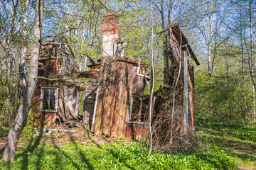 Old ruined house in a woodland