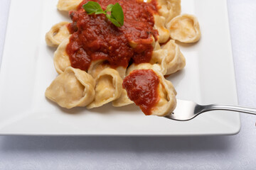 ravioli pasta on a plate with red tomato sauce