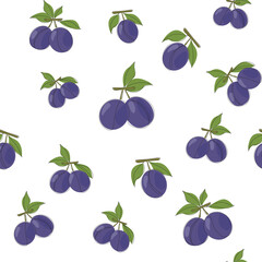 Pattern Blue plums. Vector illustration
