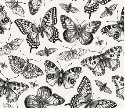 Seamless pattern. Butterfly Butterflies animals moths insect fly peacock makhaon mosquito realistic isolated. Vintage fabric background. Wallpaper. Drawing engraving. Vector victorian Illustration    