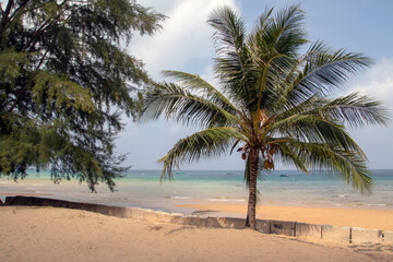 Fototapeta na wymiar Tropical bounty beach with stones and palm trees and a blue sea on Tioman Island in the South China Sea, belonging to Malaysia.