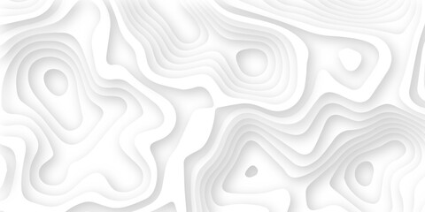 Abstract wavy line 3d paper cut white background. Topographic canyon geometric map relief texture with curved layers and shadow. Abstract realistic papercut decoration textured with wavy layers	
