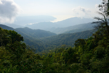 Naklejka premium Nan Thailand December 26 2022 viewpoint at Doi Phu Kha Viewpoint on 1715 road ,cool mountain,street market,otop market.