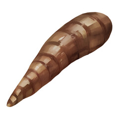 Cassava Root Isolated Detailed Hand Drawn Painting Illustration