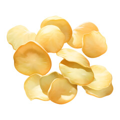Potato Chips Isolated Detailed Hand Drawn Painting Illustration