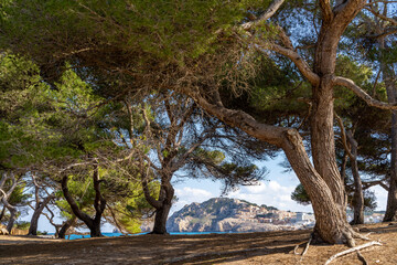 Cala Agulla ist eine Bucht der spanischen Baleareninsel Mallorca | Spanien | Espana