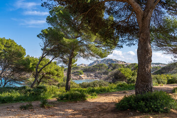 Fototapeta na wymiar Cala Agulla ist eine Bucht der spanischen Baleareninsel Mallorca | Spanien | Espana