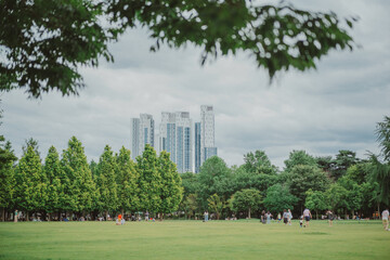 서울 숲 공원의 모습