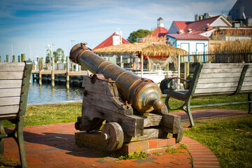 cannon at the fortress