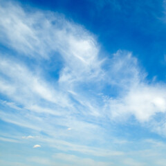 Naklejka na ściany i meble Blue sky with light feathery clouds.
