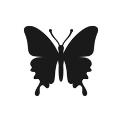 Butterfly icon, Butterfly silhouette Isolated vector illustration