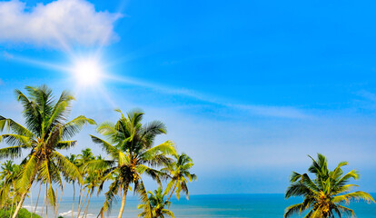 Coconut palms against a tropical beach, ocean and blue sky.
