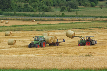 Fototapeta premium Tractor loading large round bales of straw onto trailer on a cornfield after harvest