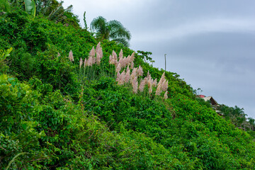 landscape with sky and clouds
