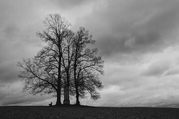 Tree, bench and small chapel on grass horizon under dramatic cloudy sky. Black and white death, funeral background, copy space
