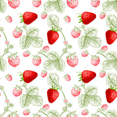Seamless pattern with flowers and berries of strawberry on white background. Template for kitchen design, packaging for food, paper, textiles.