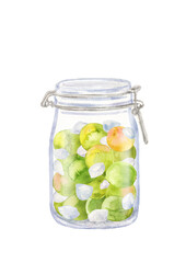 ガラス瓶に入った手作りの梅酒　水彩イラスト