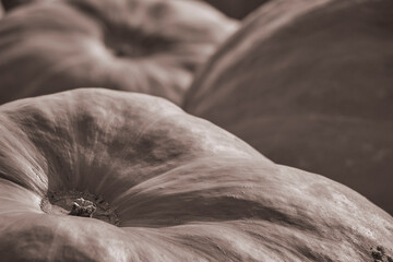 Pumpkins on display at a Lancaster County Pennsylvania Farmers Market