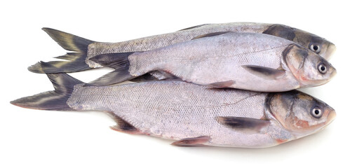 Three big fresh carp.