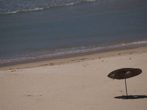 parasol