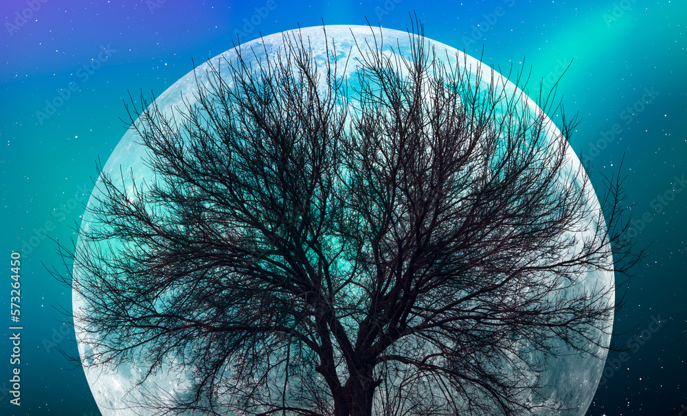 Aufkleber beautiful landscape with lone tree in the background full moon and aurora 