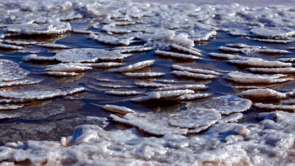 Kuyalnik estuary, Black Sea. Table salt in the form of round pancakes at the bottom and the bank of...