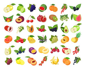 Set of fruits isolated on white background