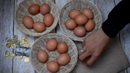 Don't put all your eggs in one basket concept. eggs in a rattan basket, wggs one basket money management conceptual