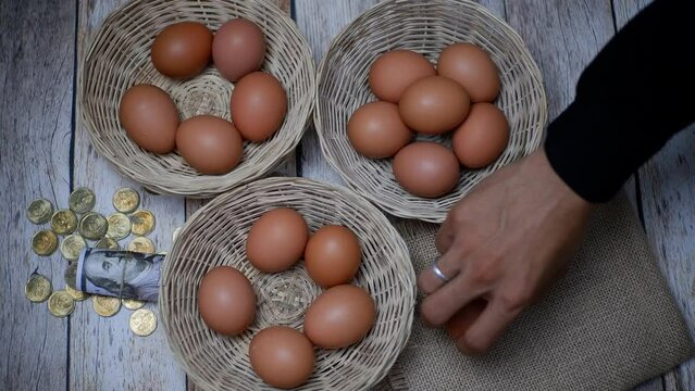 Don't put all your eggs in one basket concept. eggs in a rattan basket, wggs one basket money management conceptual