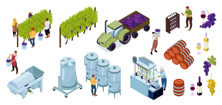 Isometric Vineyard Wine Production Set