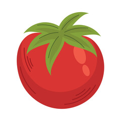 fresh tomato vegetable