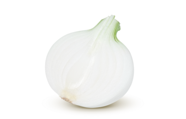 新玉ねぎ 新たまねぎ イラスト リアル セット