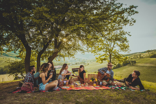 Group of happy friends having fun at the picnic barbecue in a countryside area, celebrating, eating grilled food and drinking tasty wine