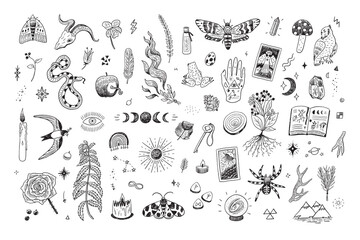 Mystical nature, objects, animals vector illustrations set.