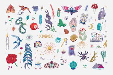 Mystical nature, objects, animals vector illustrations set.