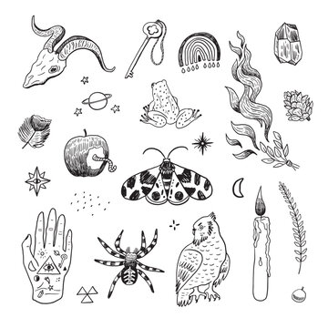 Mystical nature, skull, frog, owl, objects, animals vector line illustrations set.