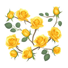 set of yellow roses - yellow roses on white background - yellow flowers - Generative AI