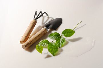gardening tools and a young shoot of a plant on a white glass, with a shadow