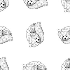 Seamless pattern of hand drawn sketch style Red Pandas isolated on the white background. Vector illustration.