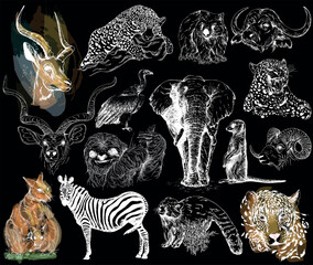 Big set of hand drawn sketch style animals isolated on black background. Vector illustration. - 573286464