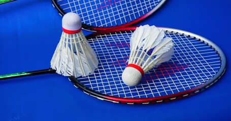 Badminton shuttlecock 