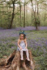 Kid playing in bluebell woods. Child watching protected plants in bluebell flower woodland on sunny...