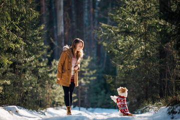 A girl in a coat and a Jack Russell Terrier breed dog in a New Year's knitted sweater in a winter...